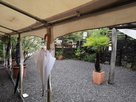 Medgeneracijske delavnice v Kačičah 16